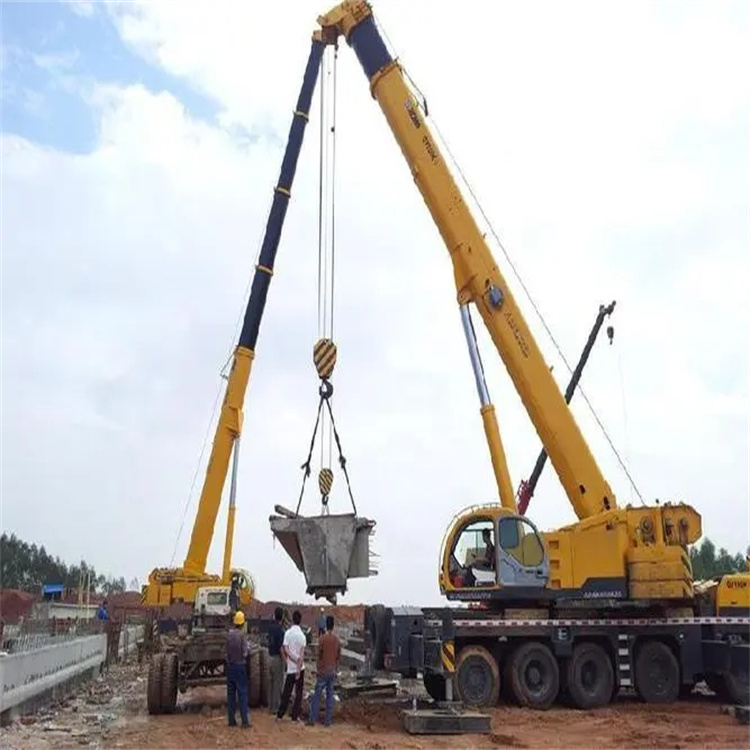 乐至小型吊机出租电话|厂房设备吊装方案|24小时服务覆盖